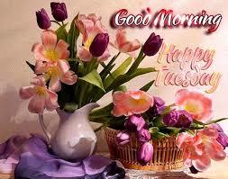 ijpl_parth's tweet photo. Good Morning to all of you..https://t.co/TxaiMO4Ub0
#Cupjewelolive
#RingJewelOlive
#BallLeance https://t.co/zLvGIaXG6J