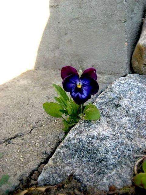 hmzhn1953's tweet photo. سـأعـطيكم درسـآ عـّن كـبـريـائـي لذواقين

لا تـعطـي أهـتمـامـآ لأنـثـى مـغـرورة. أتـركـها فالـكـرامـة أجـمل
@E_m_ad https://t.co/gKFoOwjlTW