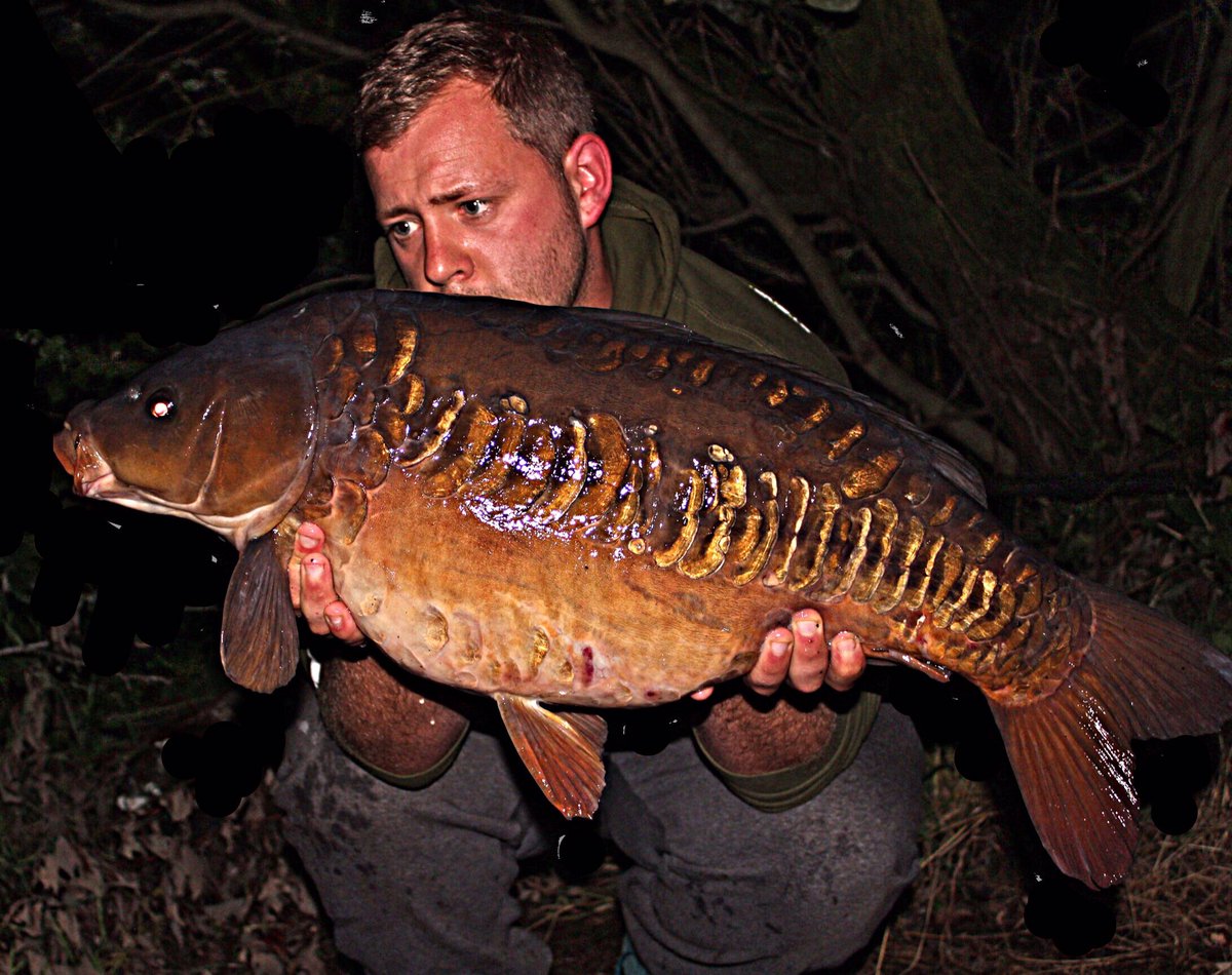 danny banks (@dannybanks14) on Twitter photo 