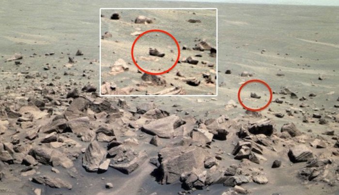 снимки марса с инопланетянами. люди обнаружили планету. жители цереры. настоящие инопланетяне. птица на марсе.