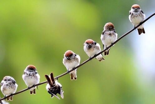 spencerrayner's tweet image. Theres nothing wrong in being different
#tuesdaymotivation
#spdc