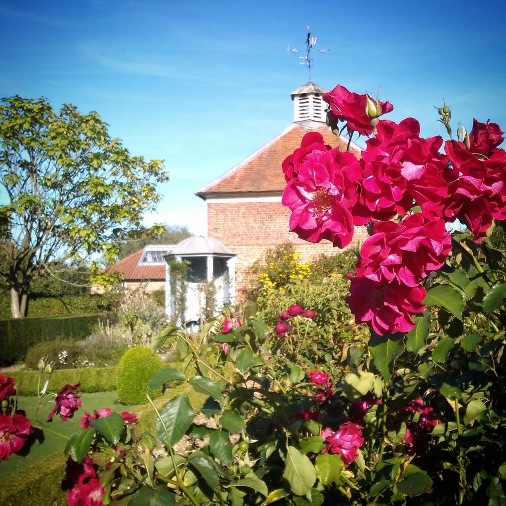Red roses and blue temple in the Gunby gardens yesterday
@NTmidlands <a href="/nationaltrust/">National Trust</a> 
#Lincolnshire