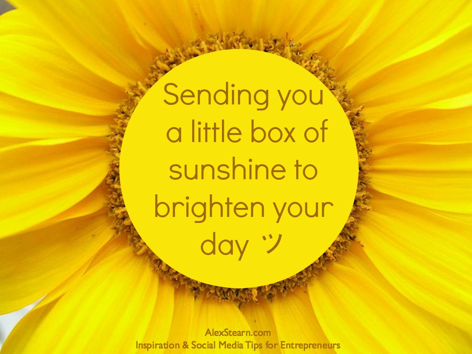 Brighten Someone's Day with a Sunshine Box