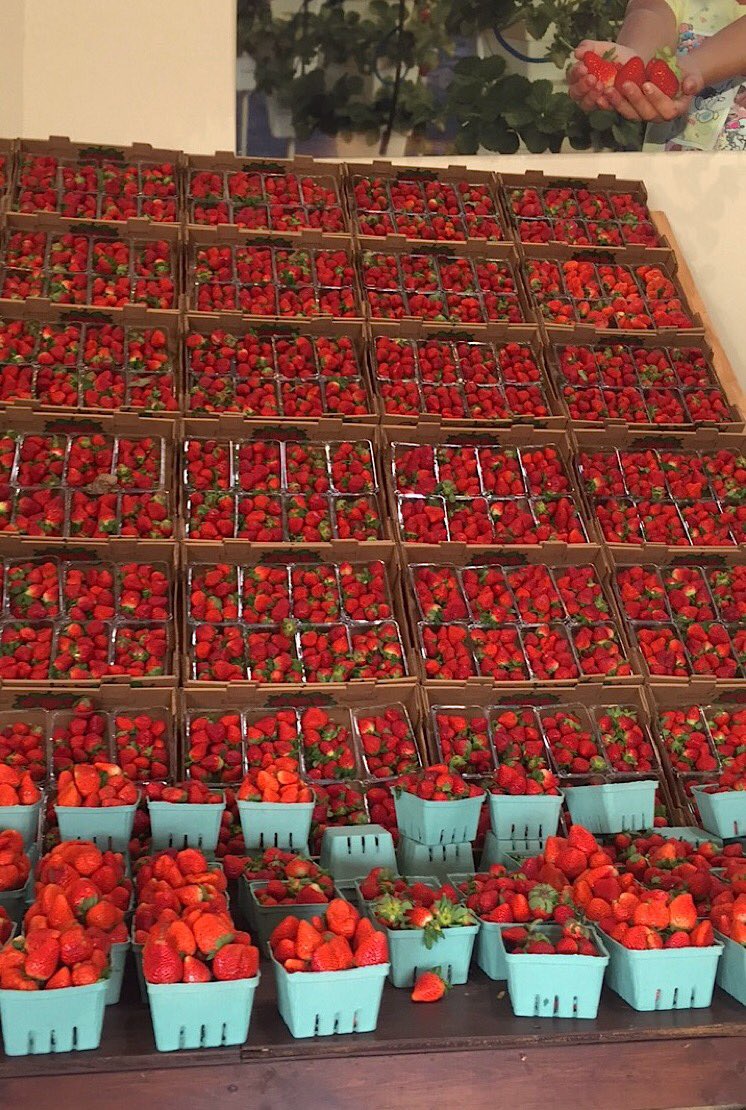 5ftofpositivity's tweet image. Perso si je me restreins, c'est sûrement pas en fruits et légumes. Surtout les fruits, c'est trop la vie