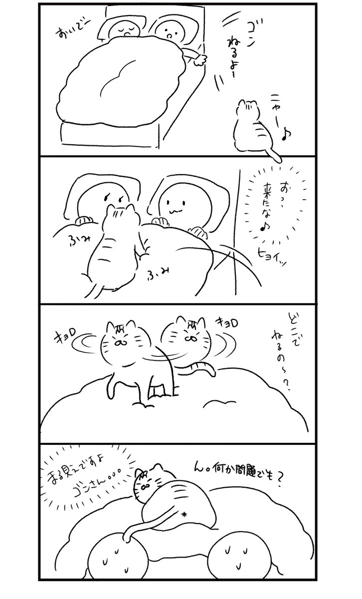 向ける 尻 猫 お