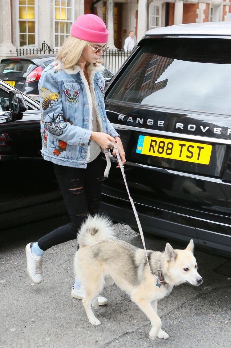 CaraONLY's tweet photo. Quality time 🐶 @Caradelevingne https://t.co/MBTZrLI6QP