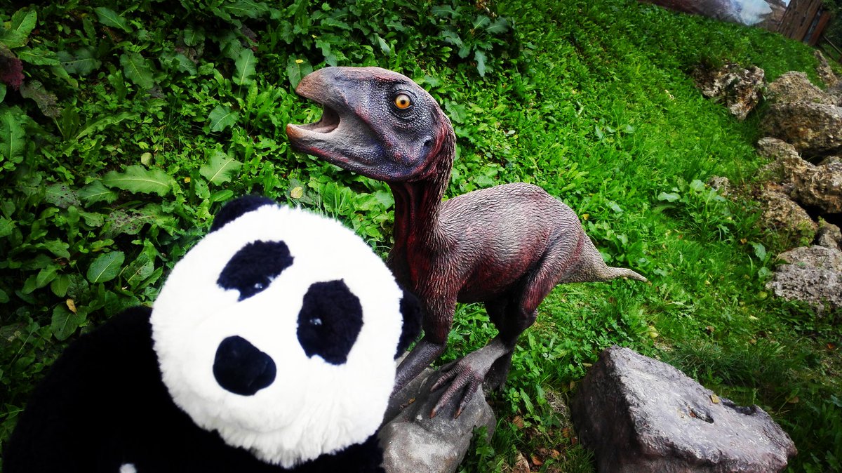 fundacjapanda's tweet photo. 🌍#atlaskopkozaur #altascopcosaurus #dinosaur #dino #panda #dinozaury #forkids #fun #joy #photooftheday #traveller https://t.co/yRv0R5vK78