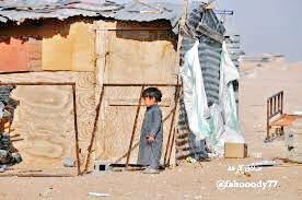 هناك مكان في حفرالباطن
من لا يملكون جنسية تعطلت حياتهم
هم أحق من هذا السومة (العشيش)
 #الشعب_يطالب_بتجنيس_عمر_السومه