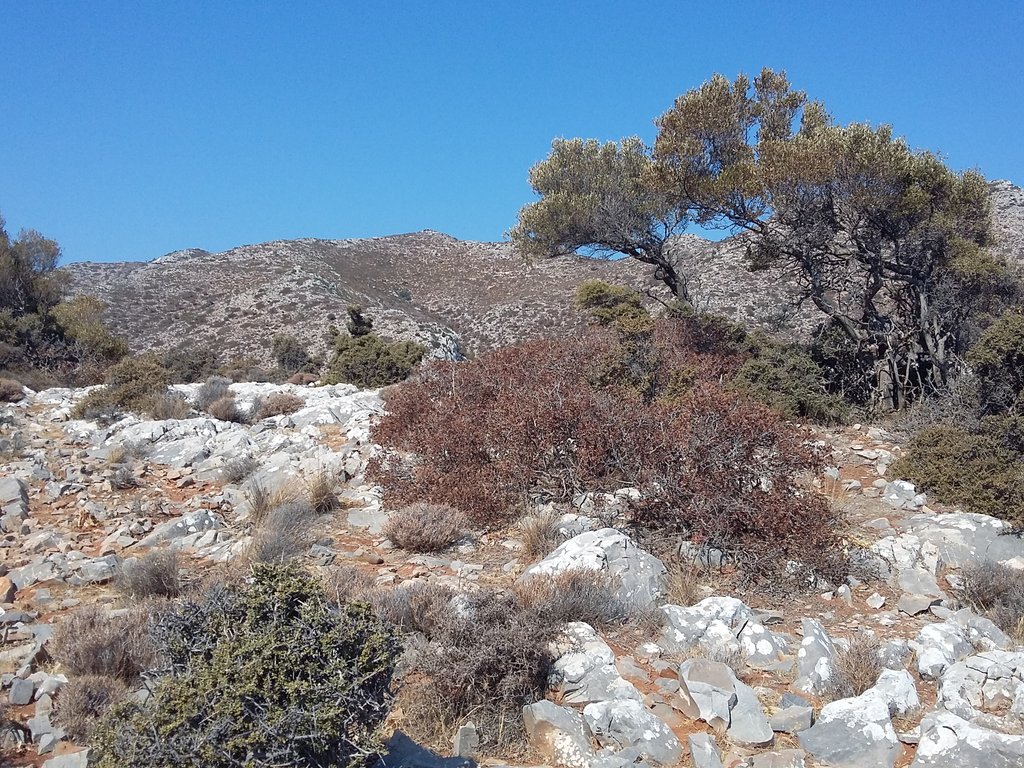 <a href="/JeremyLamri/">Jeremy</a> <a href="/LeLabRH/">Le Lab RH</a> Nous avons ensemble l'esprit du #REVH pour construire et agir pour un monde meilleur.