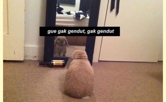 B I L L Y tweet media