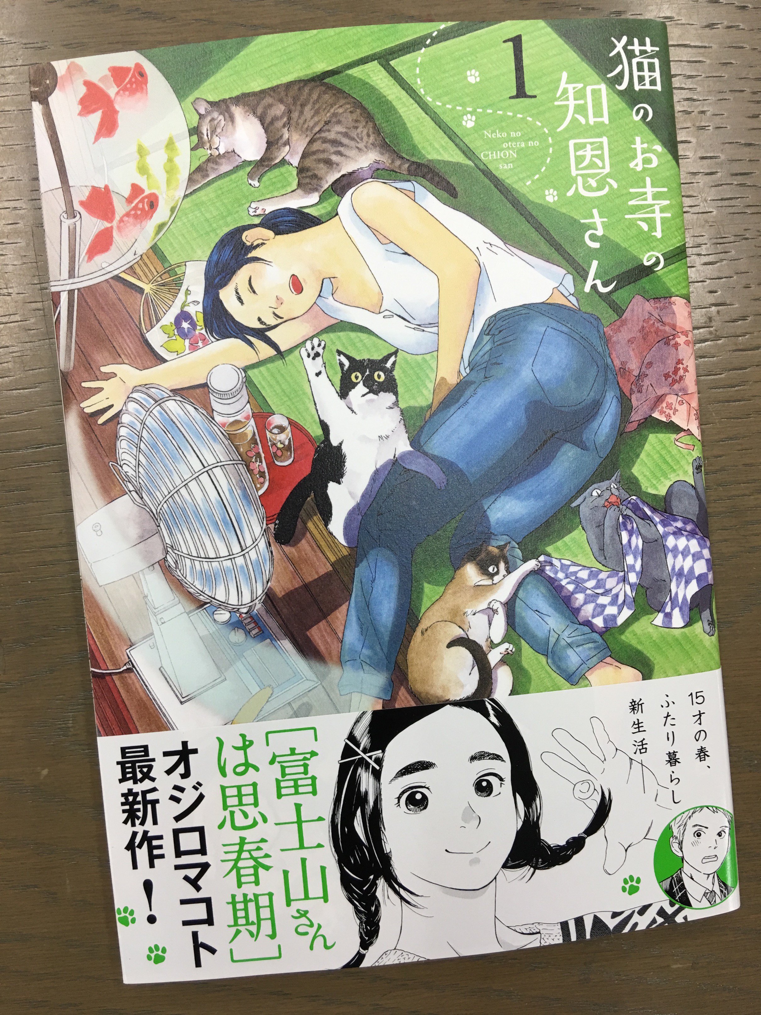 コミスン 小学館のマンガ情報メディア 富士山さんは思春期 のオジロマコトが描く あっけらかんといい感じな知恩さんと 高1男子のふたり暮らし のどかでソワソワ縁側ラブコメ オジロマコト 猫のお寺の知恩さん 第1集 T Co P0uugzotxk