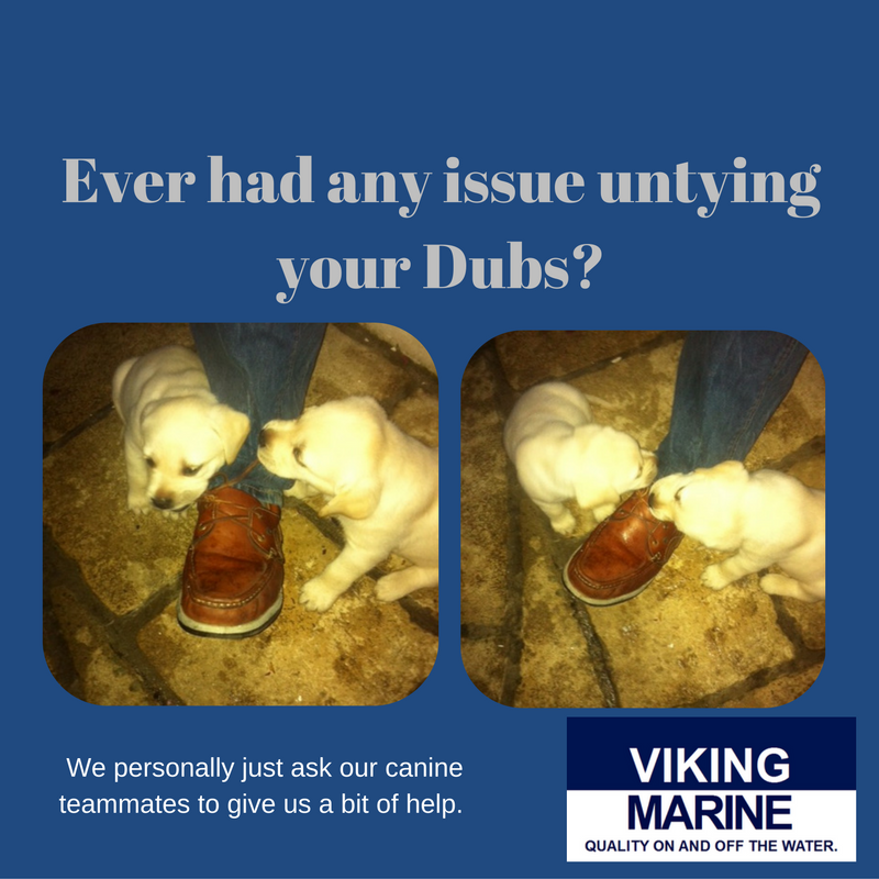 Viking Marine tweet media