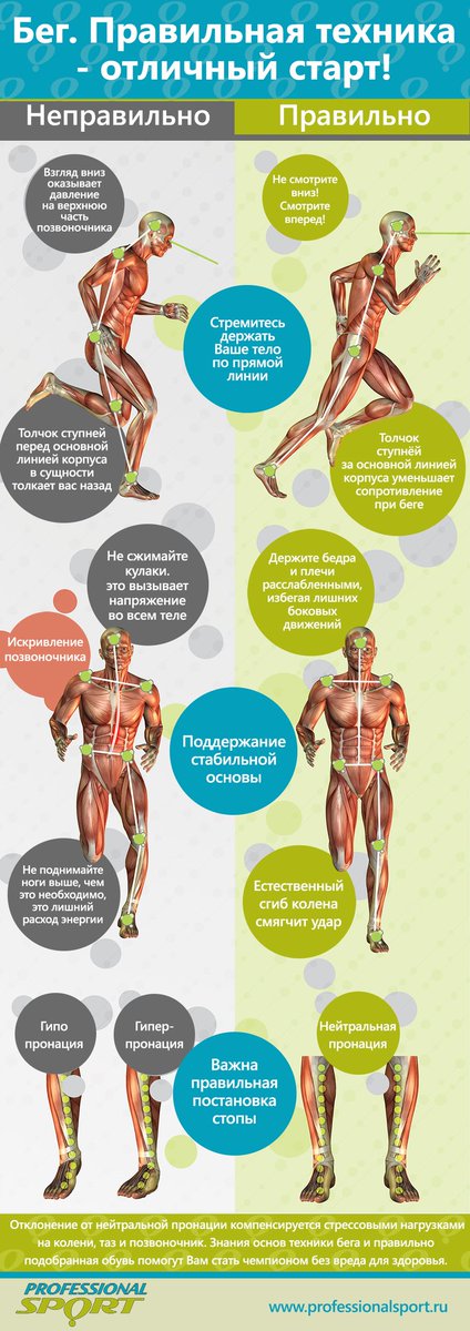 Техника Бега При Похудении.