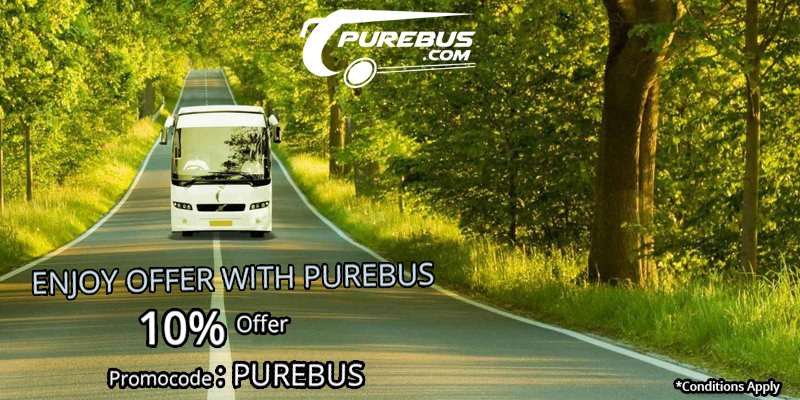 PUREBUS tweet media