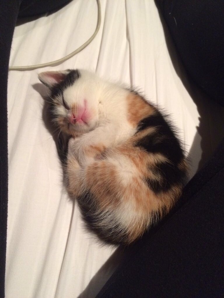 Help a boi out😍😩🙌🏻