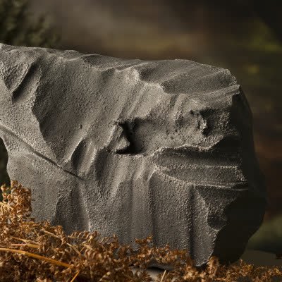 magicbeanstudio's tweet image. Looking for new and unique décor to make shoots come alive? Check out our enchanted set item qoo.ly/amsck