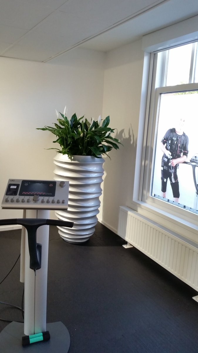 P_Zwinkels's tweet photo. #luchtzuiverende planten van #airsopure #spathiphyllum #Bingo bij de #bodytec studio in Wateringen. #Intratuin. https://t.co/8AepGI29Zg