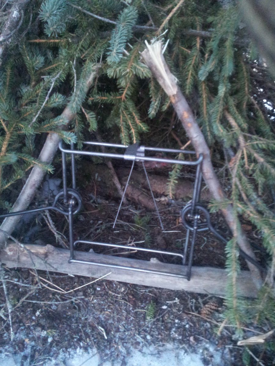 mysurvivalplan's tweet image. How to trap with a cubby set 

#TrappingTips #SurvivalTips