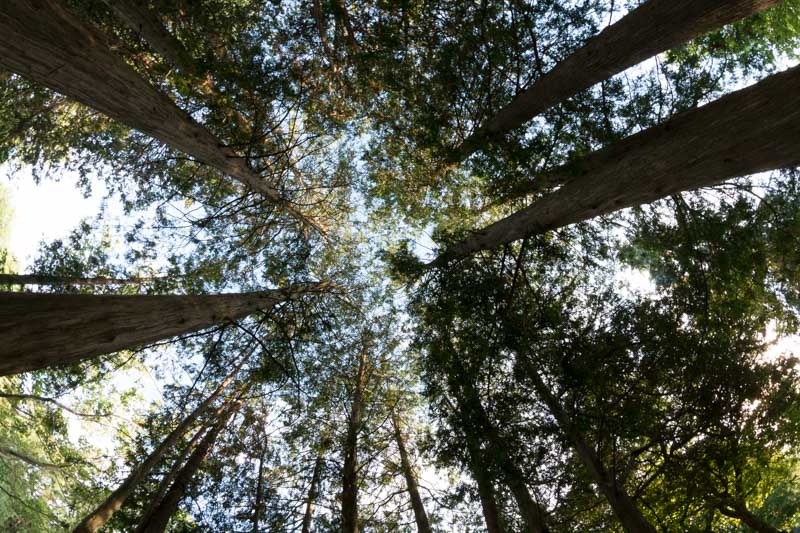 ImagineAShow's tweet image. This week's Tuesday Tip and Challenge is Looking Up!
imagineashow.com/2016/08/lookin…