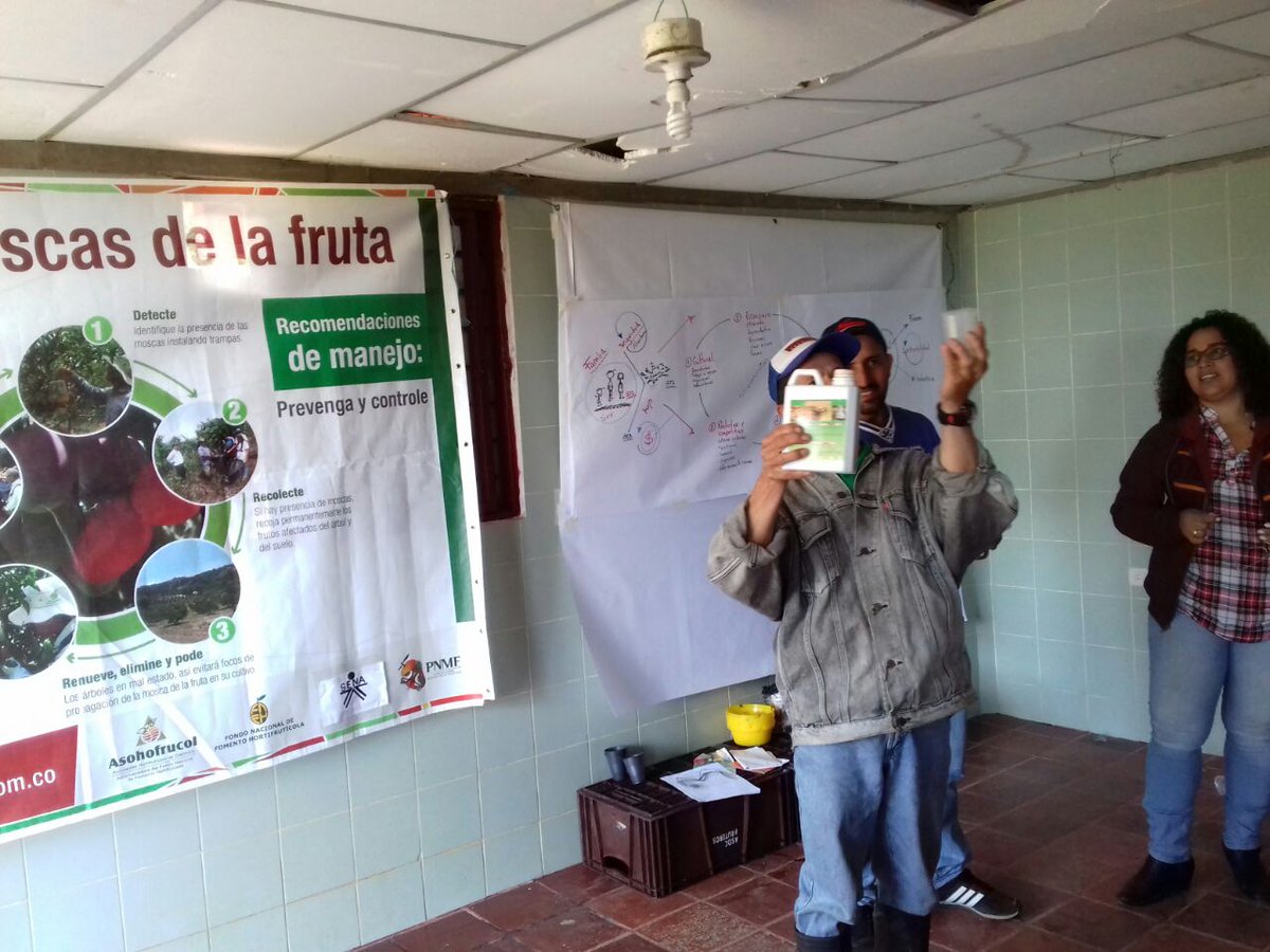 Asohofrucol's tweet photo. Talle Manejo Integrado #MoscaDeLaFruta, Vereda Monte Loro, Valle del Cauca.Convenio @Asohofrucol @SENAComunica #FHFN https://t.co/hvvxPsPigB