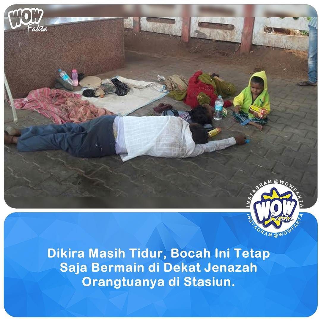 ift.tt/2c5pqrg [#wowfakta] Faktagram hari ini #fakta #faktanya #mostpopular via instagram