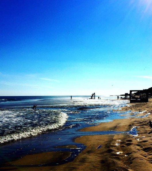 RachelZoe's tweet photo. Endless beach day #hamptons2016 ๐
#lastdaysofsummer https://t.co/N1wkF44SGN