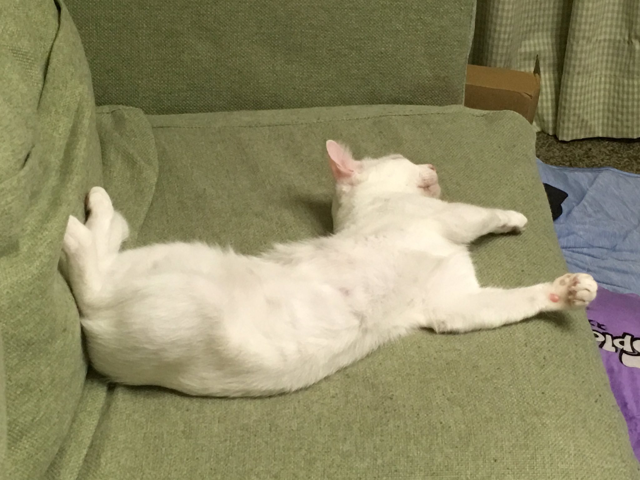 大変申し上げにくいのですが あの どいて頂けませんでしょうか えのげ