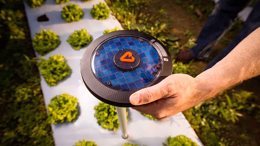 chefuturo's tweet photo. Pulsepold, il frisbee che rivoluziona l’agricoltura (e piace a Francis Ford Coppola) https://t.co/GFijOAhnLJ #food https://t.co/YL7MUTwRpY