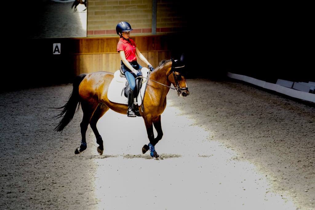 D4Image's tweet image. Allenamento finale per ponyady e toccati dalla luce!!