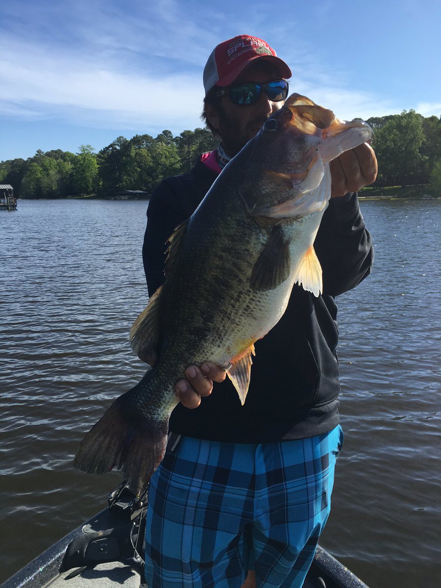 Elite Guide Service (@eliteguide90) on Twitter photo 