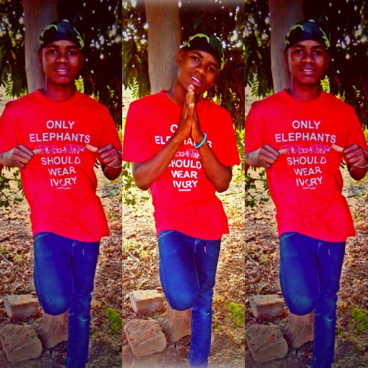 BobShaba1 tweet picture
