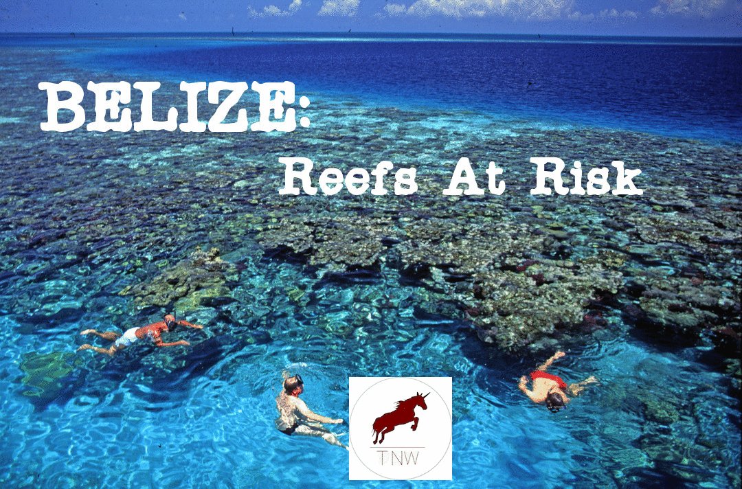 Rupert Stuart-Smith discusses various problems faced by Belize and its reefs... thenewword.co.uk/whsts/belizes-… #tnw