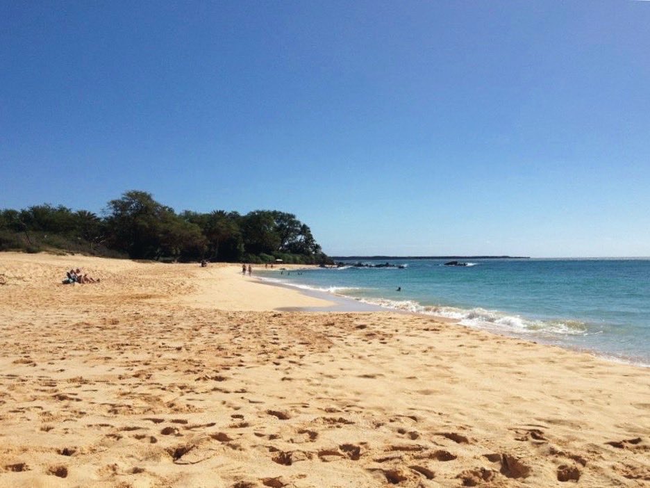pamelasendee's tweet photo. Dreaming of going back to Hawaii someday and sipping on fresh coconuts from palm trees like it was just yesterday. 🌴 https://t.co/j1ACi7M3c1