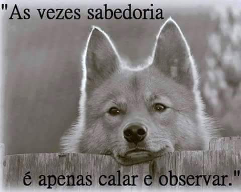 Goreth#sdv# (@goreth_camelo) on Twitter photo 