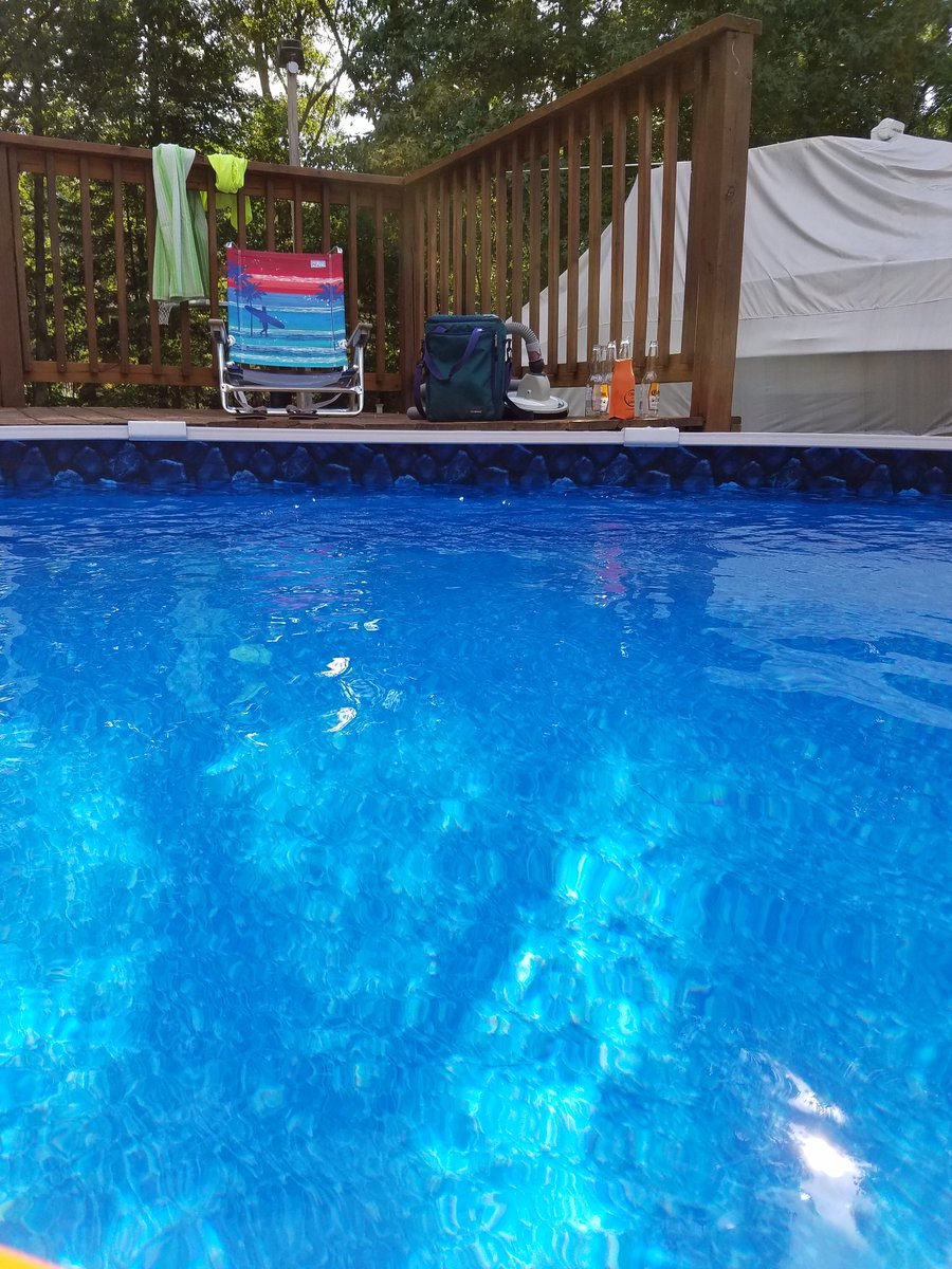 lorenzabraham12's tweet image. My afternoon sanity!