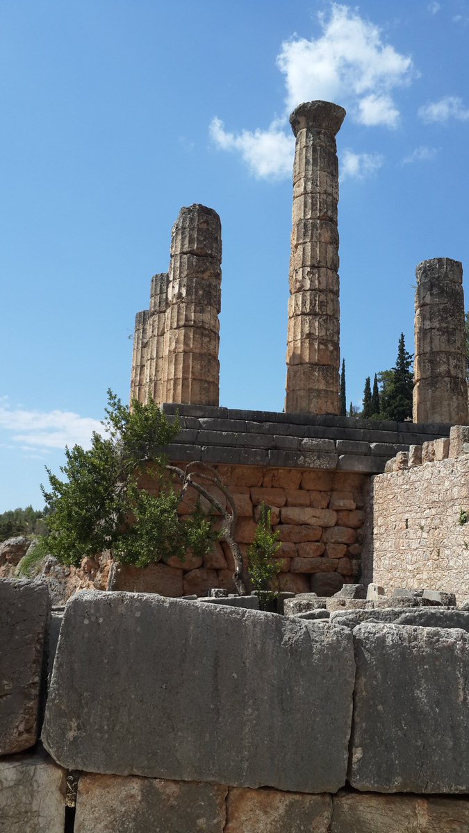 AuroraAlambra's tweet image. A bowed-down tree at the Temple of #Apollo -- divination altar of the #ancient #DelphiOracle.
#Greece
#photooftheday