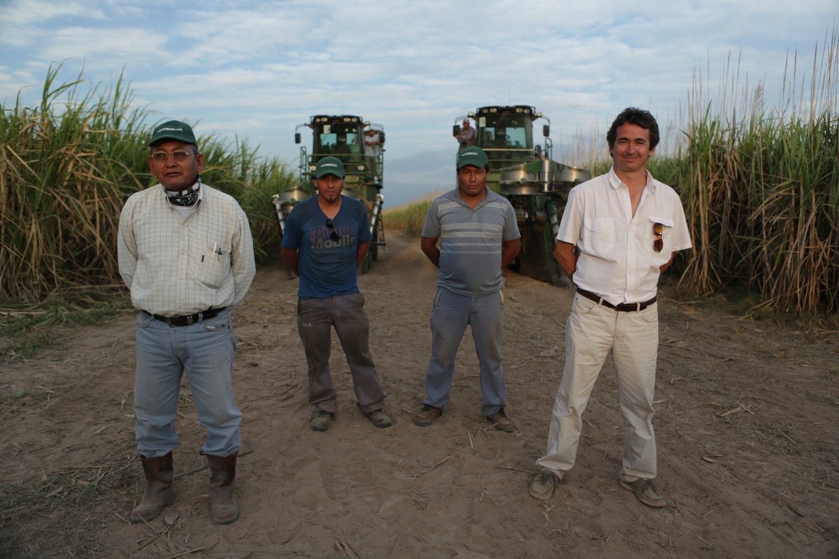 UCAR_Agro's tweet photo. 📌 6/9 #Jujuy #PROICSA Capacitación p/ Sector Azucarero “Cosecha y calidad de materia prima" →https://t.co/yZYSRvX3sN https://t.co/fpZahtXpsA