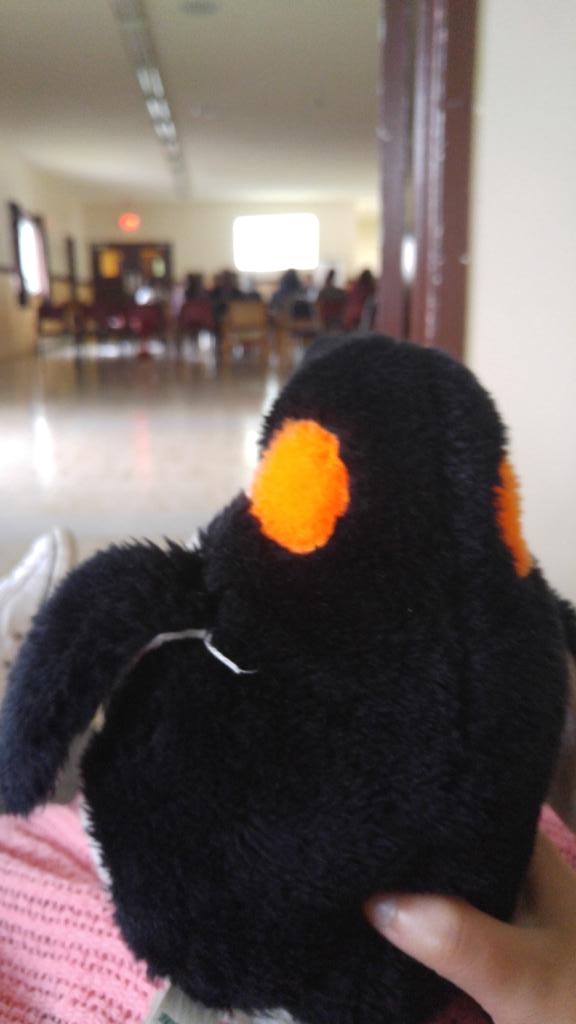 hwalsh16's tweet photo. Phil dies for MIMS #staffcamp2016 #PhilHPenguin #thanksRLAJan https://t.co/mtQdXbe2QZ