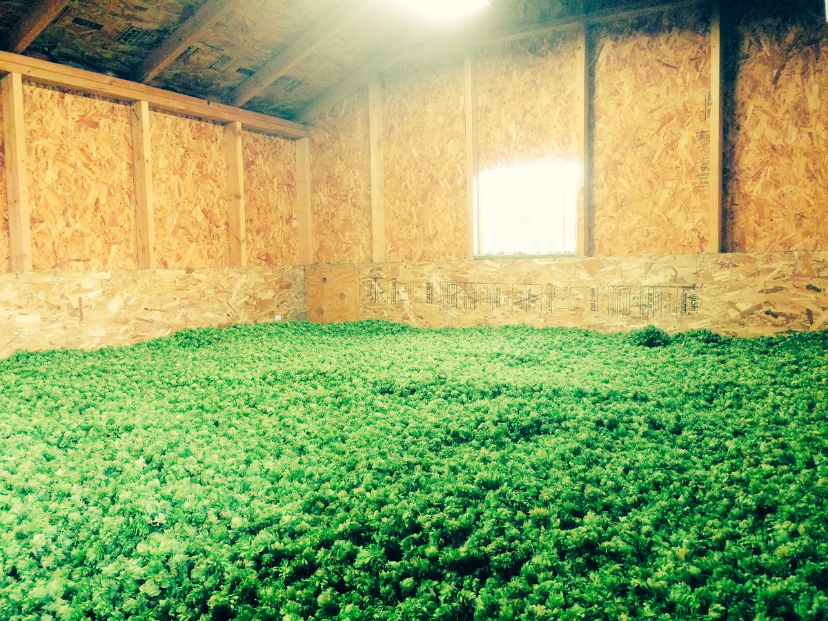 cherrypicker101's tweet photo. Don't pumpkin the beer until fall is here! It's #hopseason! https://t.co/sXPZFp9lYs