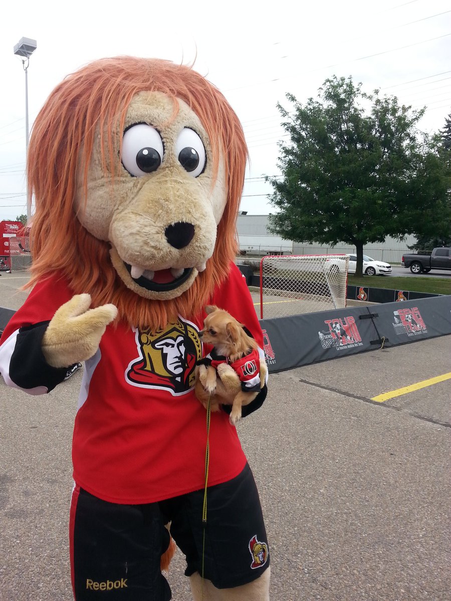 Samread77's tweet image. Zoe meets @REAL_Spartacat at the @Senators Hometown Tour in Brockville