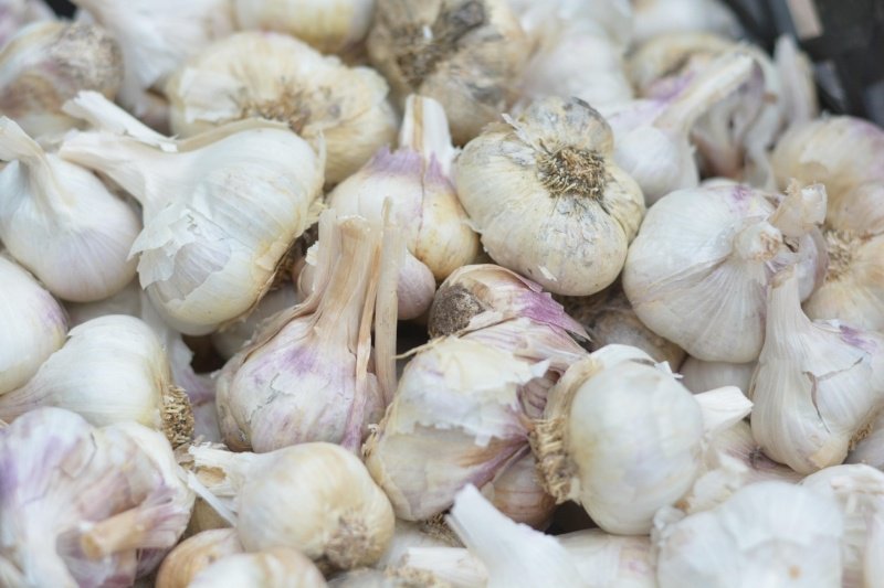 QCOliveMill's tweet photo. Garlic, garlic, and more garlic! #GarlicFest2016 #GotGarlic https://t.co/oixxMyxosF https://t.co/7WJqNZEF4i