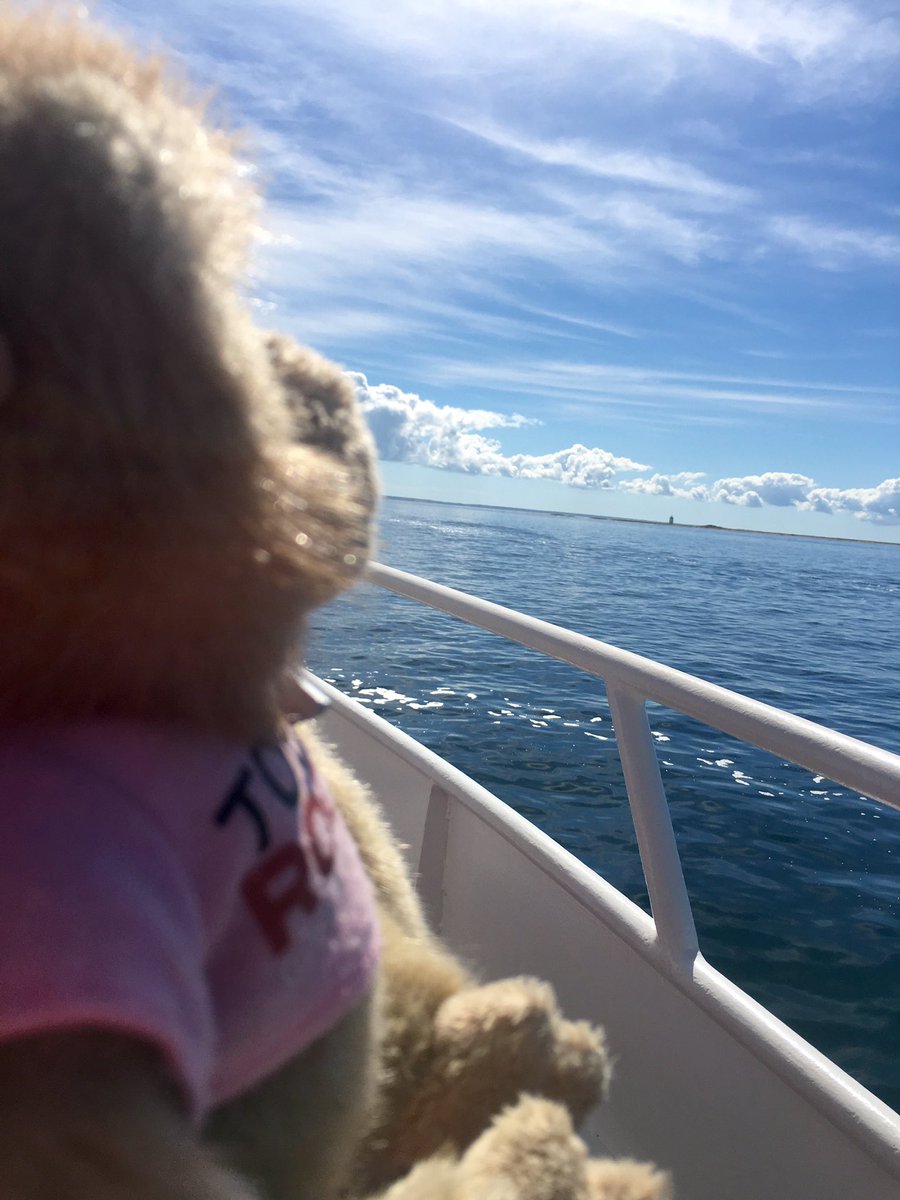 LGoonerHoward's tweet photo. Mac and I on our whale watching adventure! #macthemonkey https://t.co/tHgdLlpdyI
