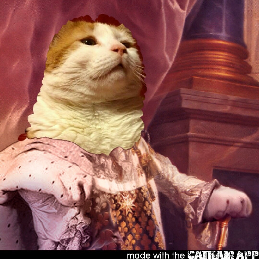 LordCutemungus's tweet photo. Because #catsrule
https://t.co/Qf5L8S7oQg
#CathairApp
#mobileappdev #mobiledev #indiegamelover #indiedevchat #cats https://t.co/GZHaaDi9KY