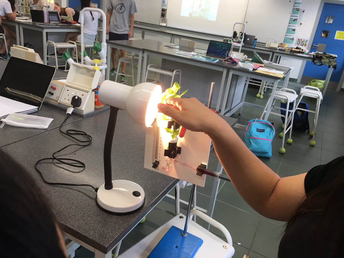 rchkscience's tweet image. DP Bio: Getting to grips with potometers #rchkdp #transpiration #topic9