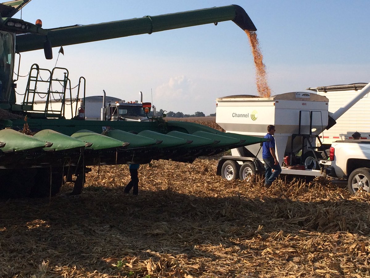 Channel_KY_SIN's tweet image. @ChannelSeed MD Plot in Union Co. The new products really shined #218-44VT2PRib#placedtoperform @BluegrassAg@bdwagr