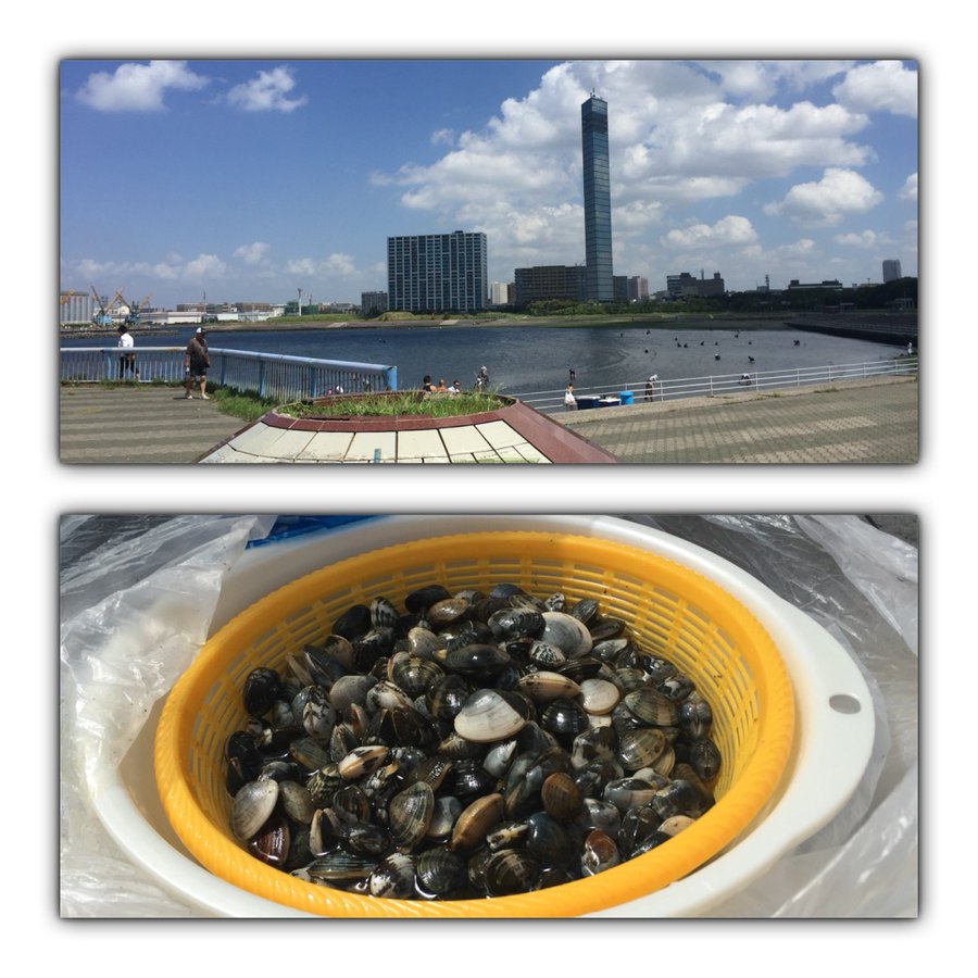 千葉の潮干狩り穴場スポット8選 無料でできるのは 時期はいつ ごきげんなブログ