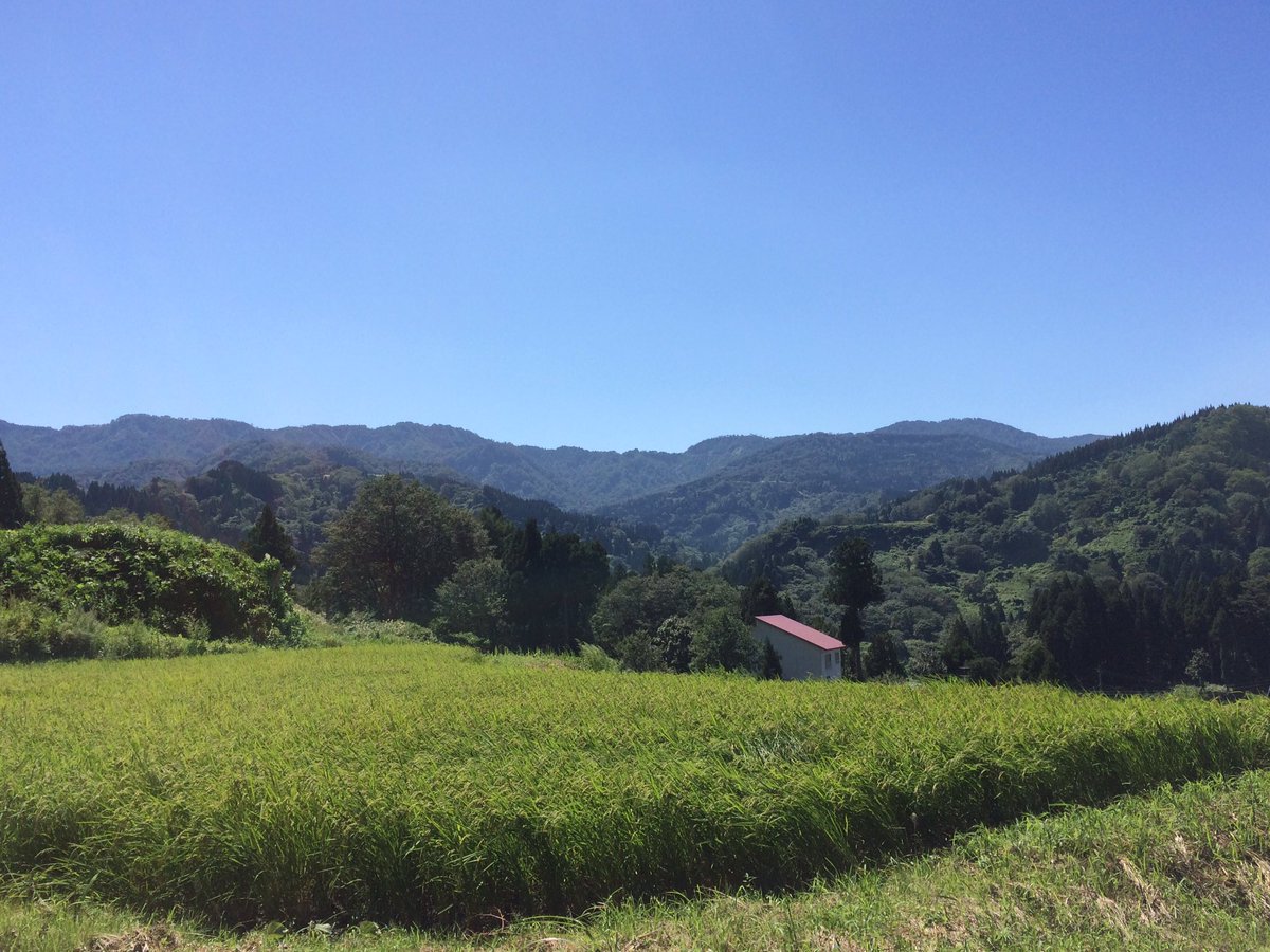 poteto1013t's tweet photo. けしきさいこうう https://t.co/Bd0bm0obLX