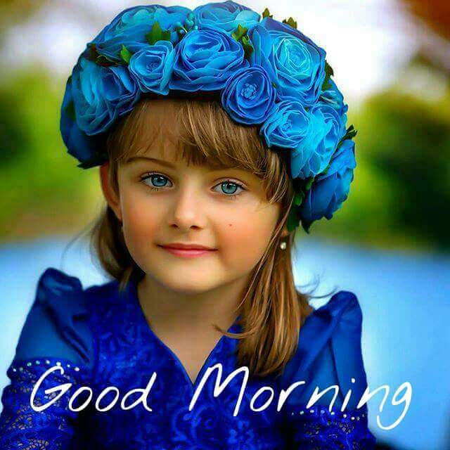 Sunita_Says_'s tweet photo. Good morning dear Sonia g ..Stay blessed always. Have a nice day. @ItsMyMemories love &amp; hugss https://t.co/pO9UUtuIuF