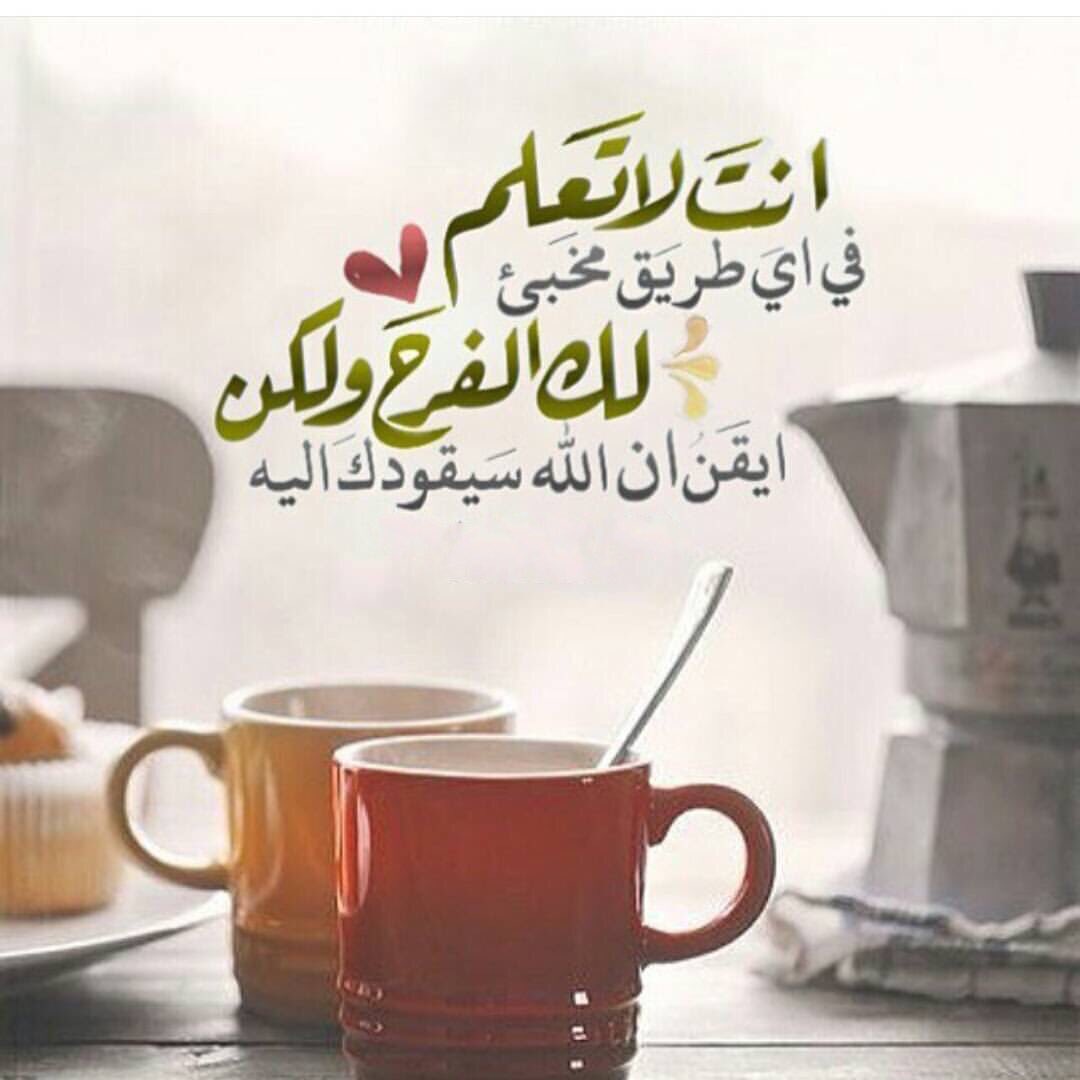 ⭕️ أنت لا تعلم في أي طريق مخبئ لك الفرح ولكن أيقن أن الله سيقودك إليه ♥️❤️