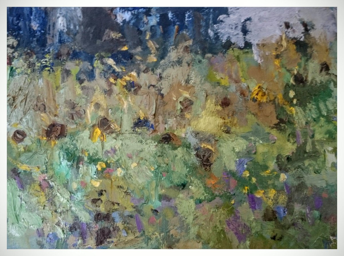 iannorris2's tweet photo. Rusty sunflower heads https://t.co/SYdLsNHeT2